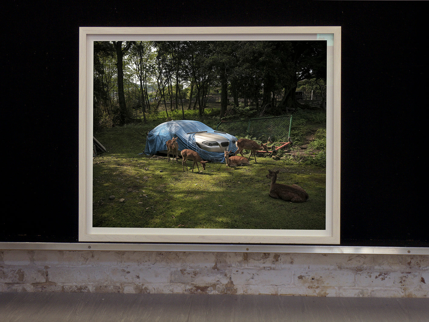 Andréas Lang, Deer and Car